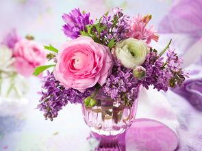 娱乐吃瓜酱一束鲜花,娱乐吃瓜酱一束鲜花背后的故事