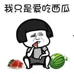 带你吃瓜的娱乐设施